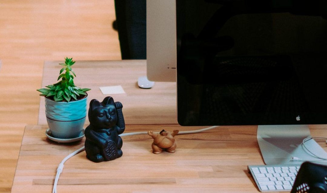 Guía Práctica para Administrar los Activos de tu Empresa